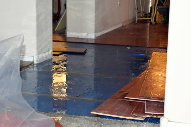 Professional Basement Flood Cleanup technician working in Osseo, WI